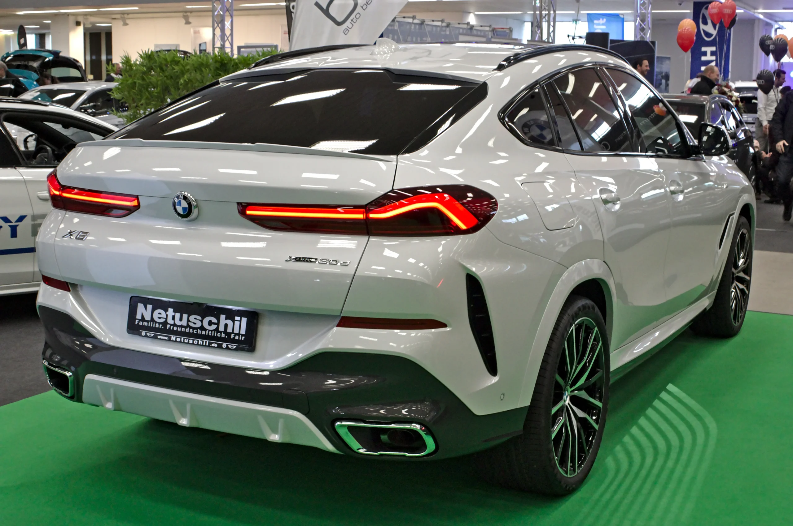 BMW X6 1