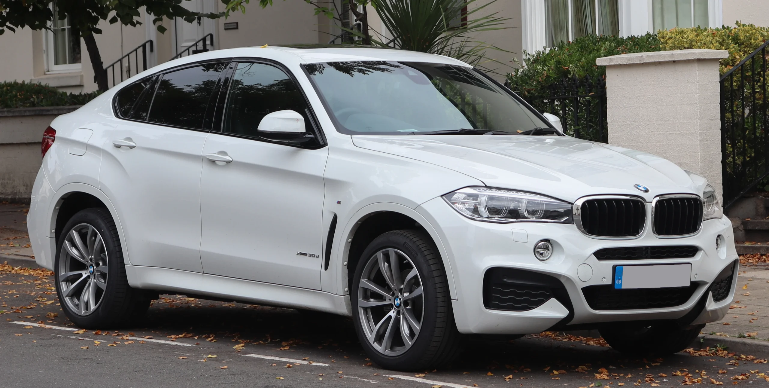 BMW X6 6
