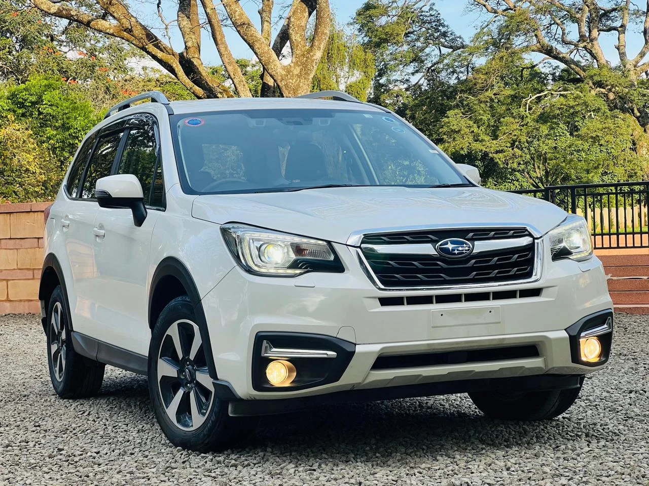 Subaru Forester Turbo vs Non-Turbo: Which Is Better for Kenyan Roads?